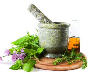 Medicinal Plants